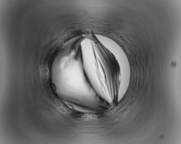 X0000099460617200806061131