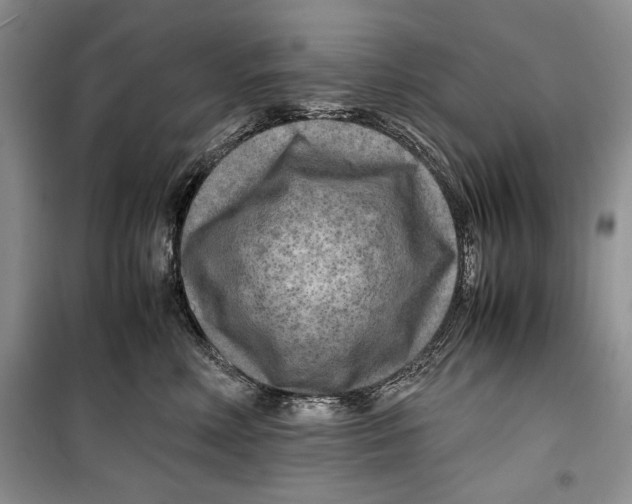 X0000099460618200806061131