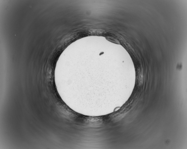 X0000099460619200806061131