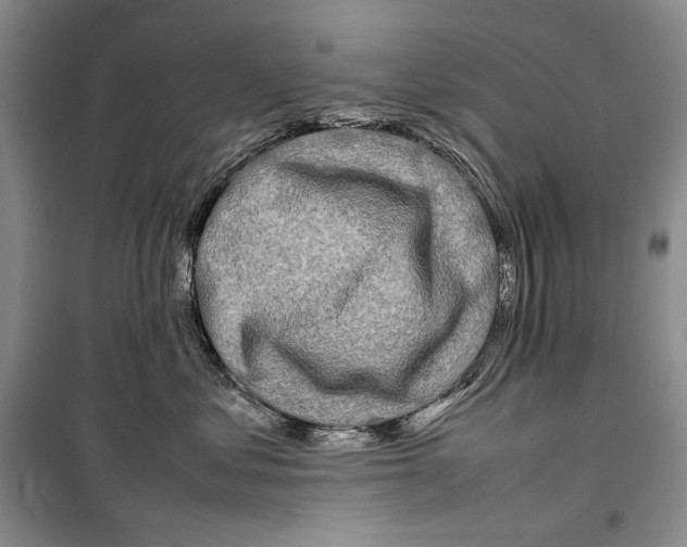 X0000099460621200806061130