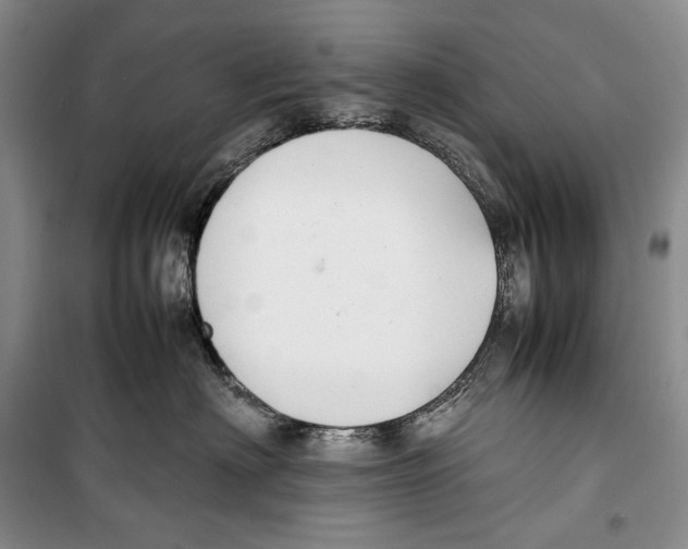 X0000099460622200806061130