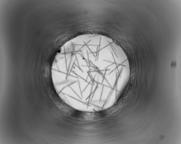 X0000099460623200806061130