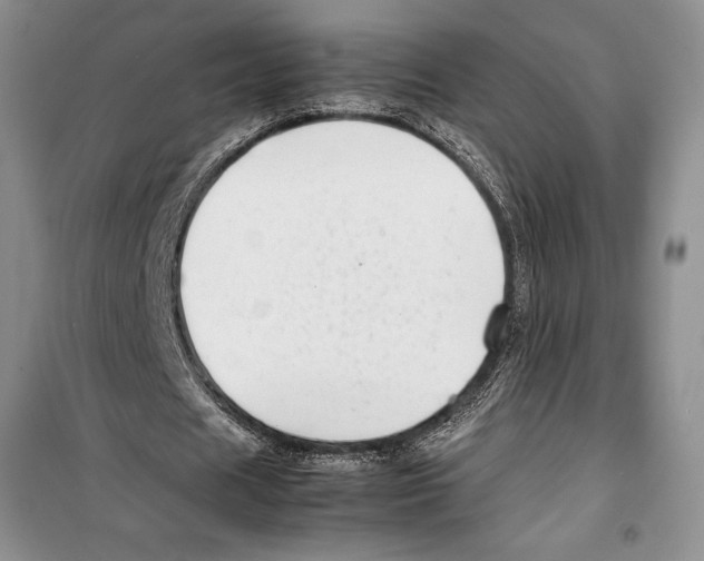 X0000099460625200806061129