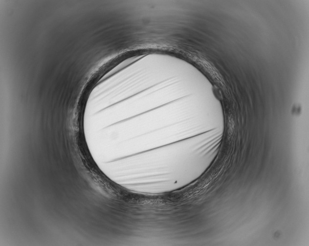 X0000099460628200806061129