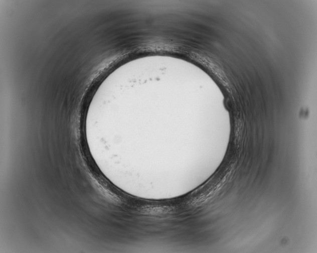 X0000099460629200806061129