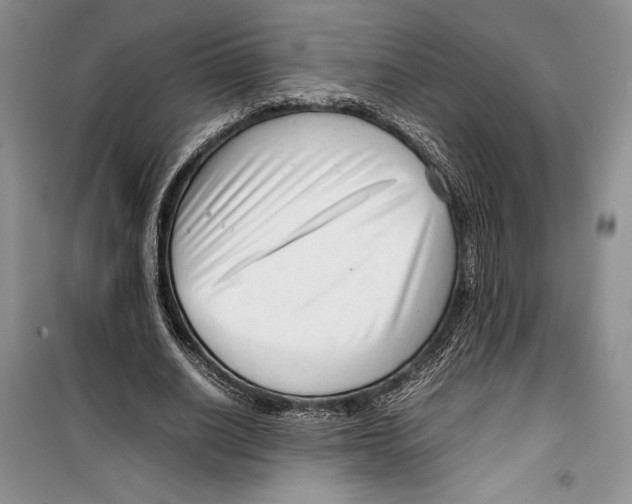 X0000099460630200806061129