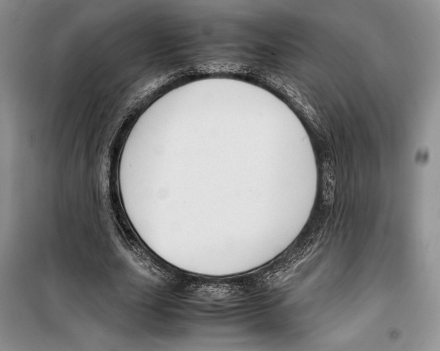 X0000099460631200806061130