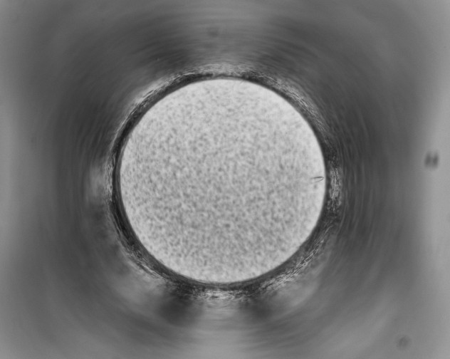 X0000099460632200806061130