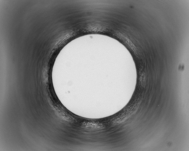 X0000099460635200806061130