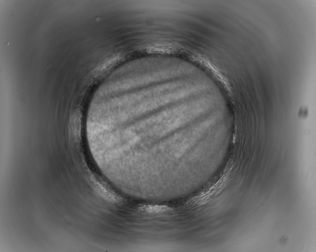 X0000099460637200806061130