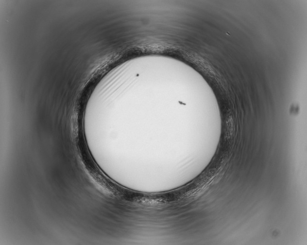 X0000099460638200806061130