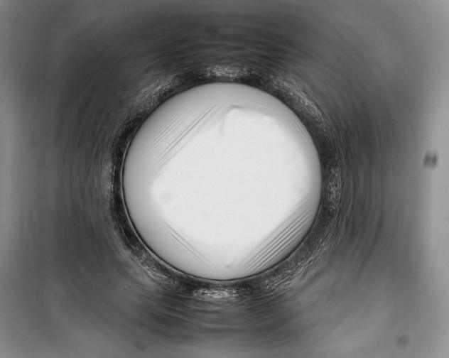 X0000099460639200806061130