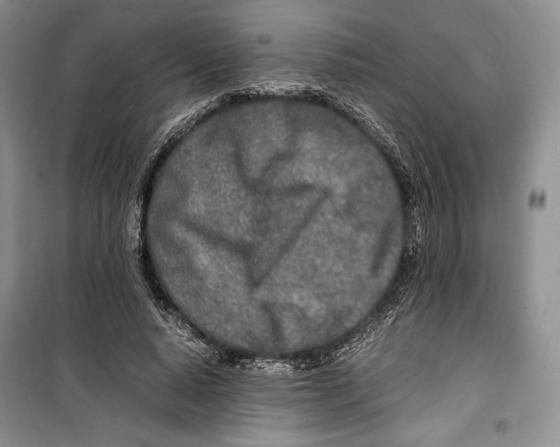 X0000099460640200806061130