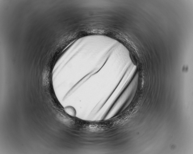 X0000099460641200806061130