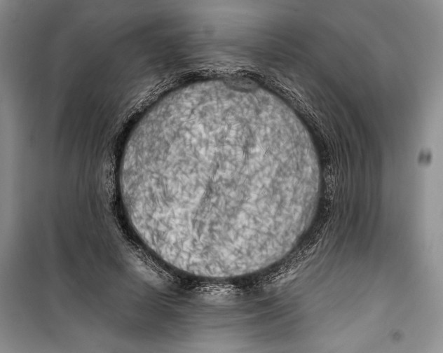 X0000099460642200806061130