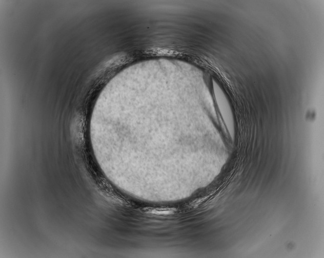 X0000099460643200806061130