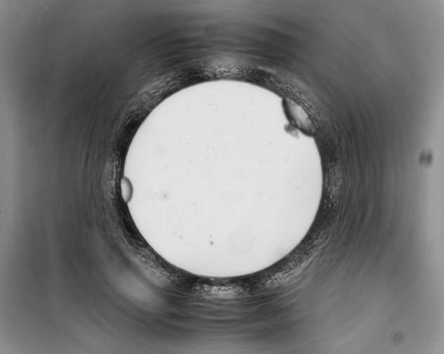 X0000099460645200806061130