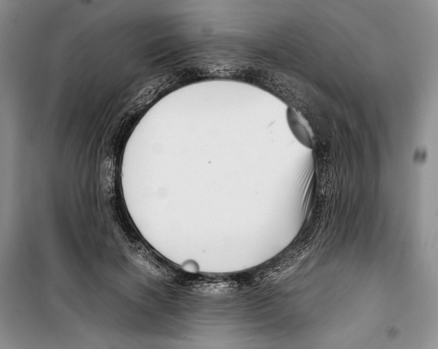 X0000099460646200806061130