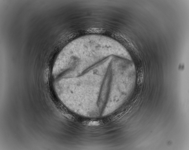 X0000099460647200806061130