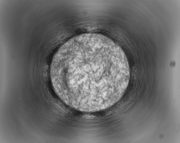 X0000099460650200806061130