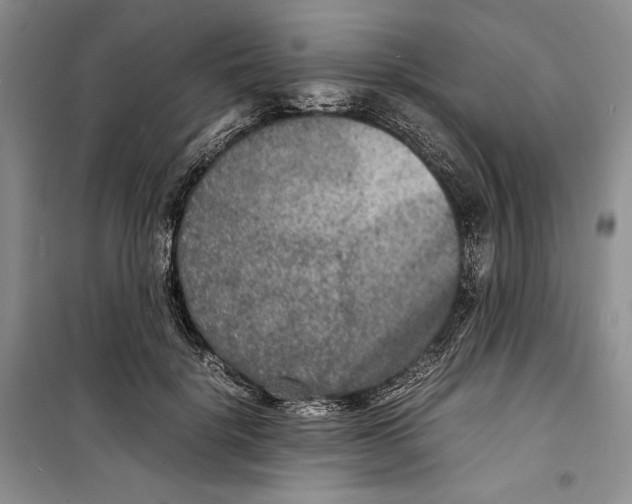 X0000099460652200806061130