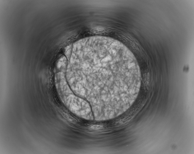 X0000099460653200806061130