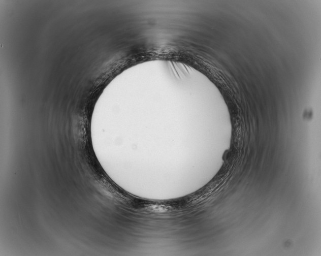 X0000099460654200806061130