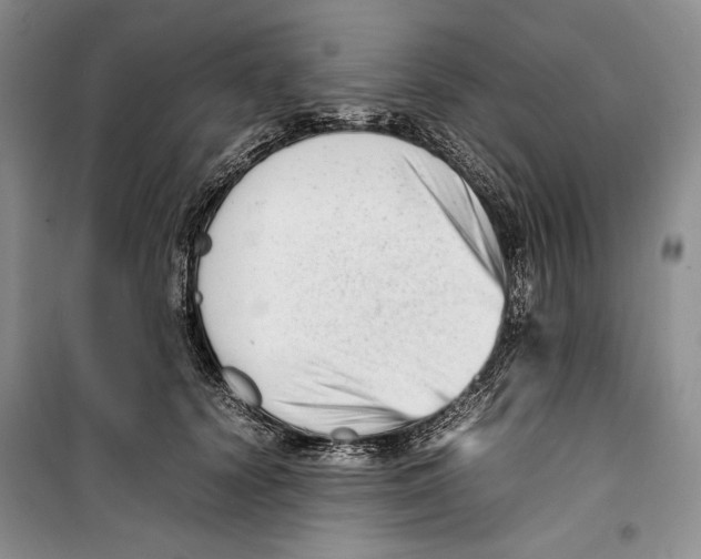 X0000099460656200806061130