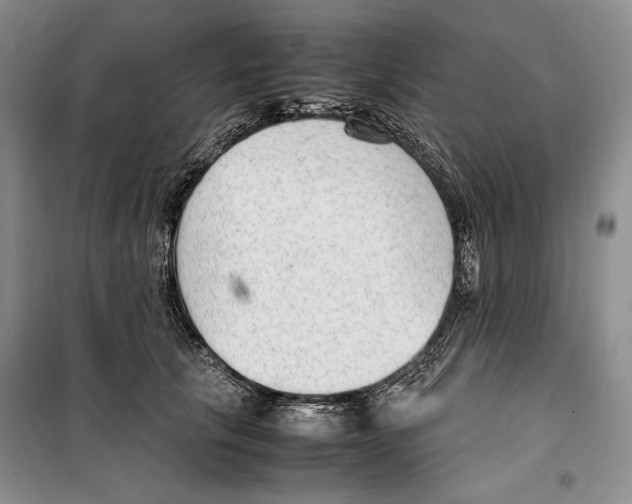 X0000099460657200806061130