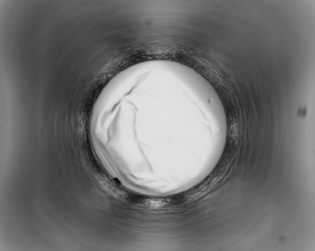 X0000099460662200806061130