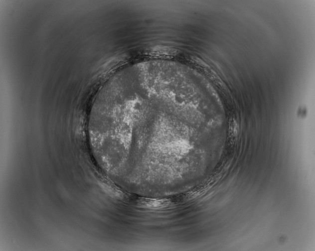 X0000099460663200806061130