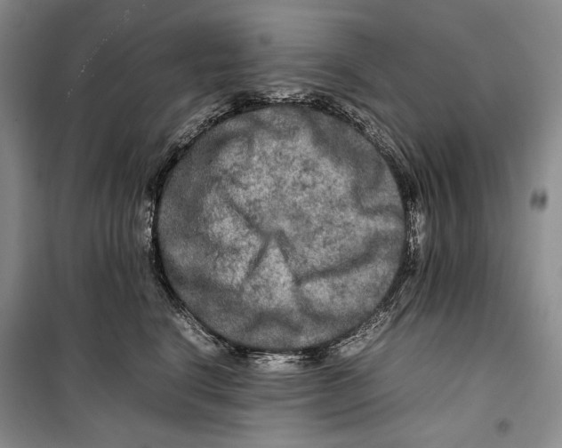 X0000099460664200806061130