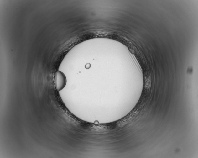 X0000099460666200806061130