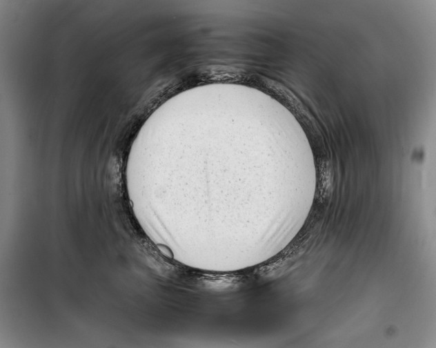 X0000099460667200806061130