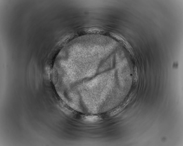 X0000099460669200806061130