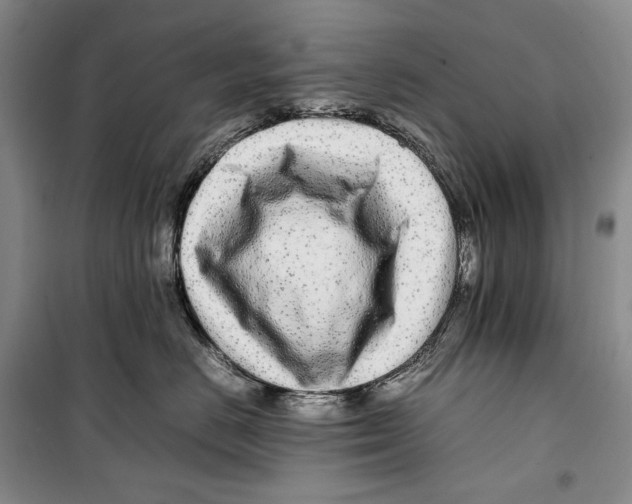 X0000099460670200806061130