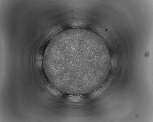 X0000099460671200806061130