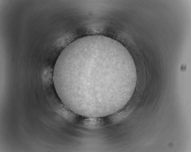 X0000099460672200806061130