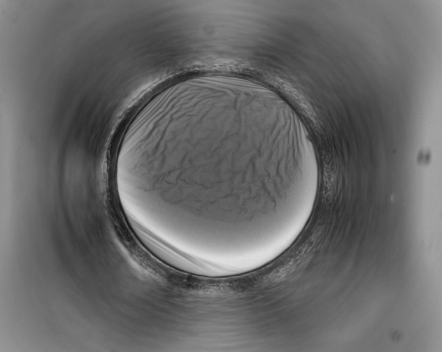 X0000099460674200806061129