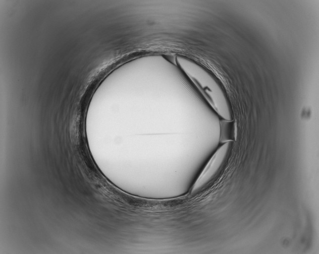 X0000099460675200806061129