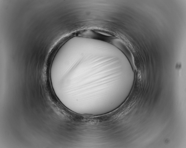 X0000099460676200806061129