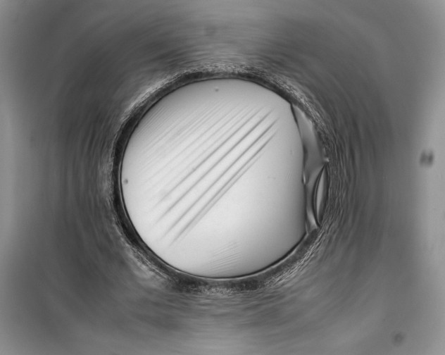 X0000099460677200806061129