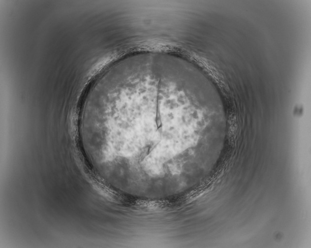 X0000099460679200806061129