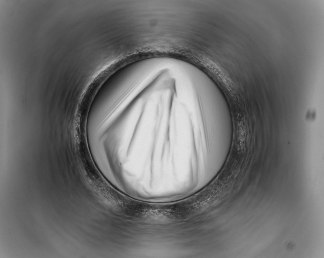 X0000099460680200806061129