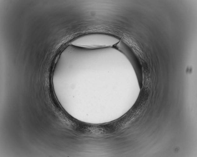 X0000099460681200806061129