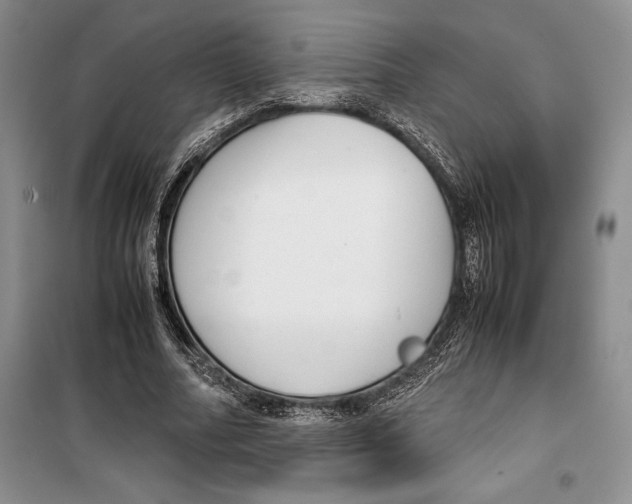 X0000099460682200806061129