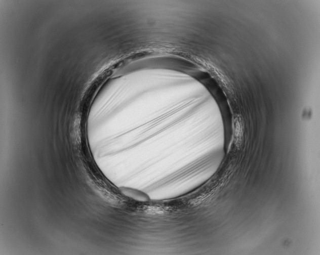 X0000099460684200806061129