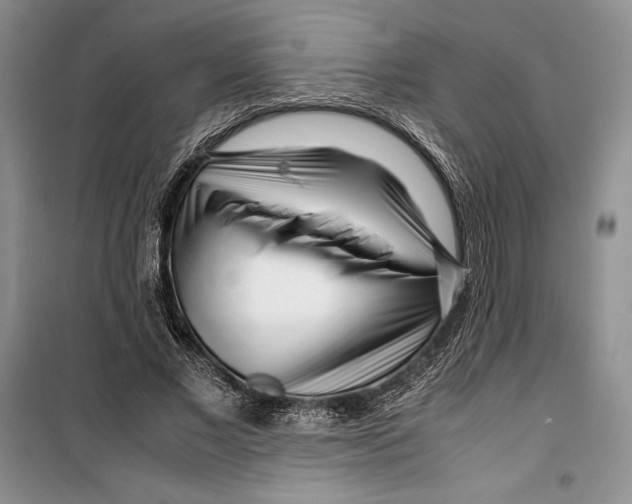 X0000099460685200806061129