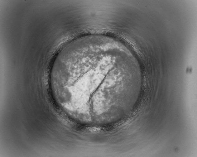 X0000099460687200806061129