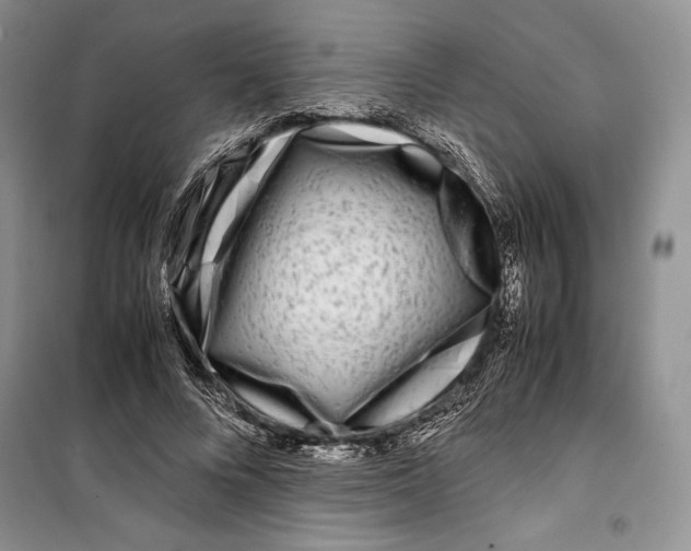 X0000099460688200806061129